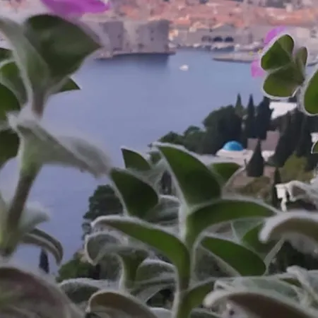 Apartment Charming With Terrace And Old Town View - One Bedroom With Terrace Dubrovnik