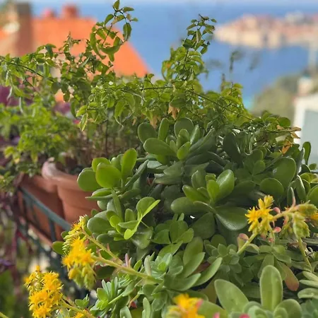 Charming With Terrace And Old Town View - One Bedroom With Terrace * Dubrovnik
